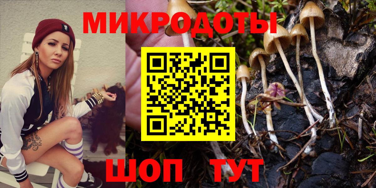 Галлюциногенные грибы Cubensis Каменск-Шахтинский