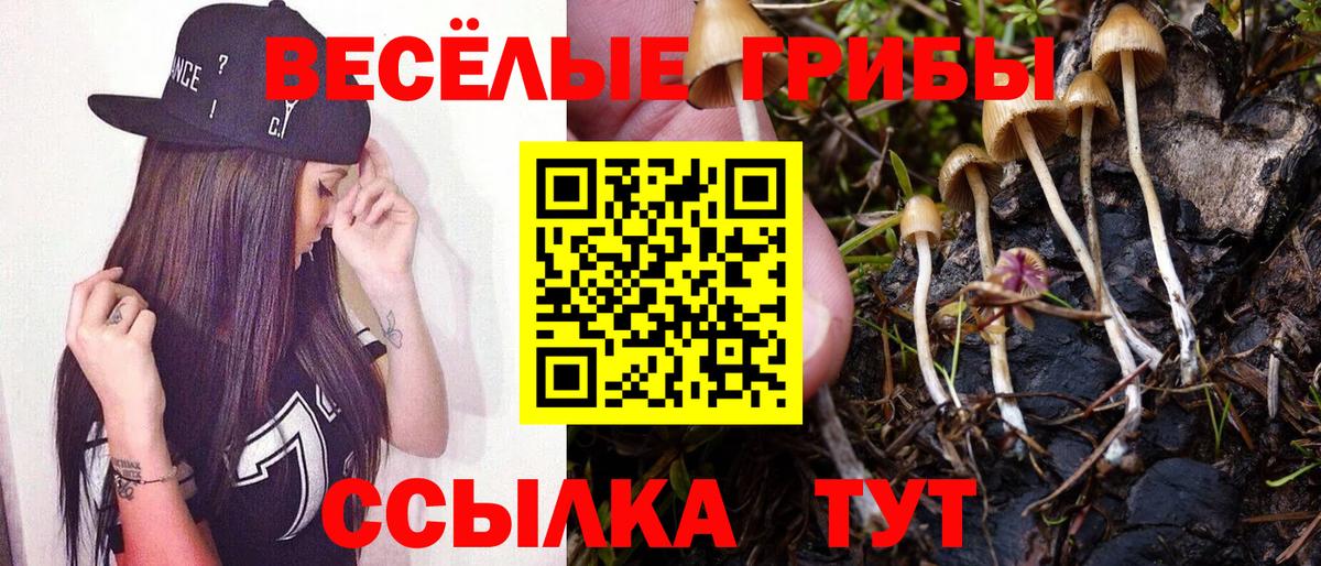 Псилоцибиновые грибы мухоморы  Псилоцибиновые грибы MAGIC MUSHROOMS  Каменск-Шахтинский  Вход с VPN 